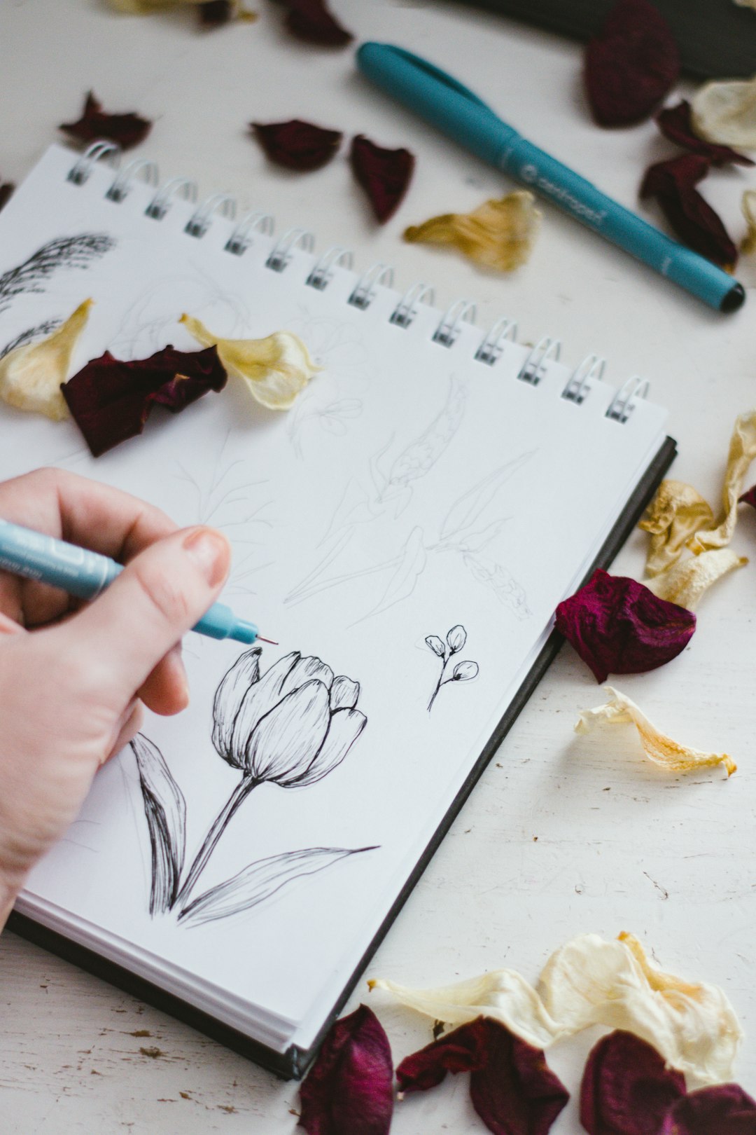 Illustration florale au feutre fin